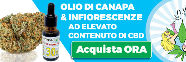 acquista infiorescenze e olio di canapa ad alto contenuto di CBD