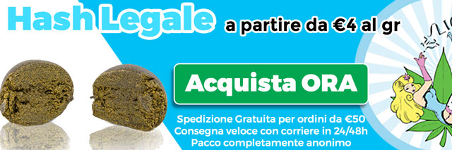 Banner Legal Hash kaufen