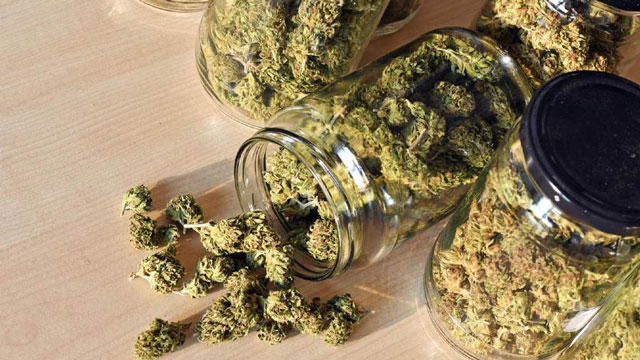 glass jars for light cannabis buds