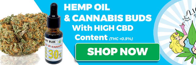 buy legal cannabis light buds and oil, rich in CBD