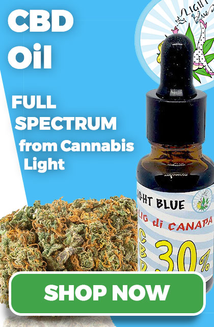 CBD oil sidebar banner blog