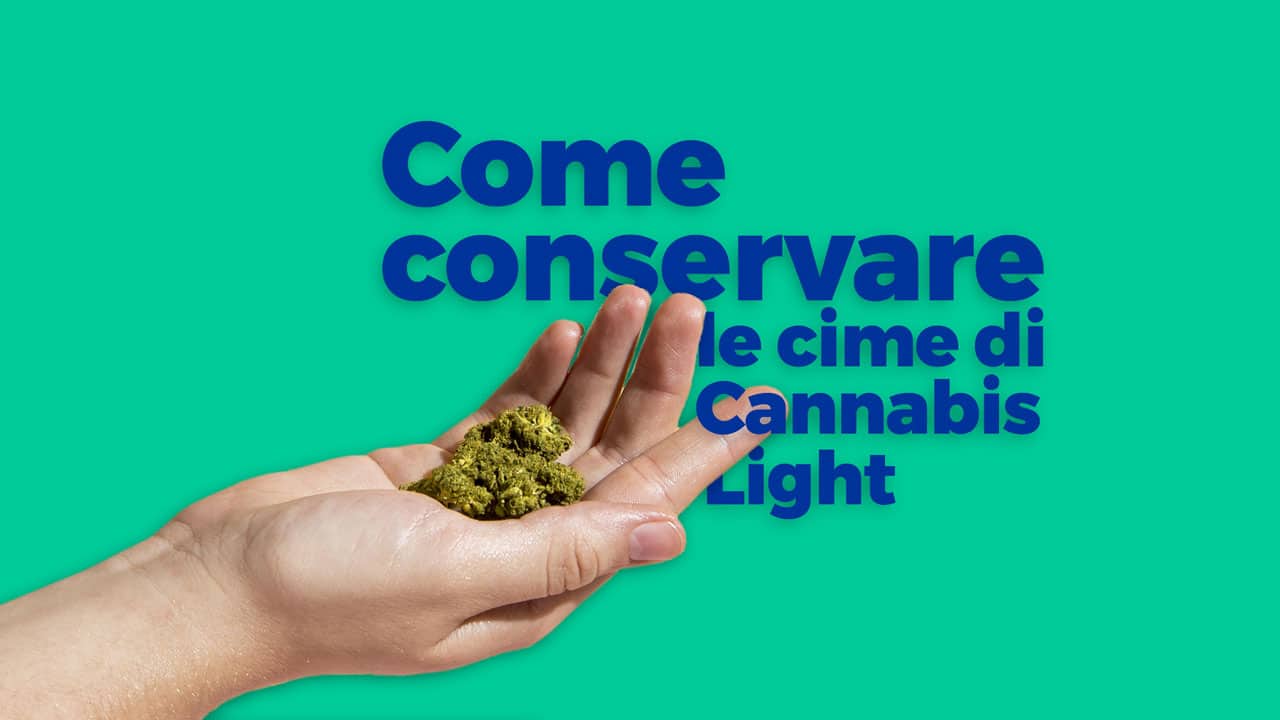 conservare cime di cannabis light
