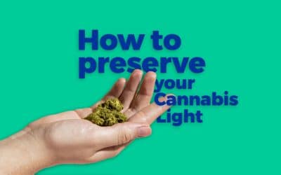 How to store your cannabis light buds