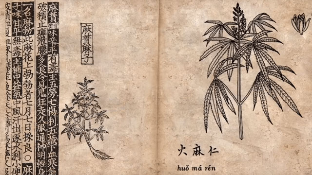 cannabis nella storia dell'antica cina