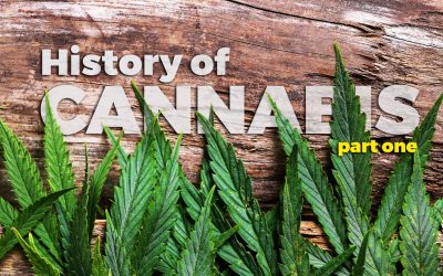 History of Cannabis: the magical plant that conquered the world – (first part)