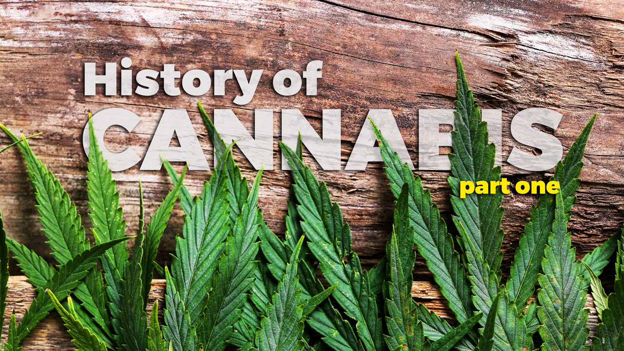 history of cannabis first part