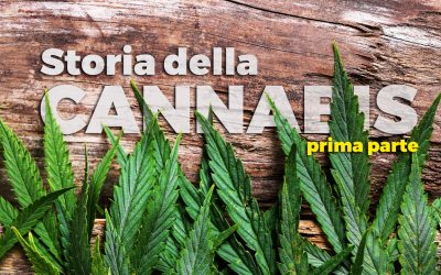 La Historia Del Cannabis: La Planta Mágica Que Se Apoderó Del Mundo – (Primera Parte)