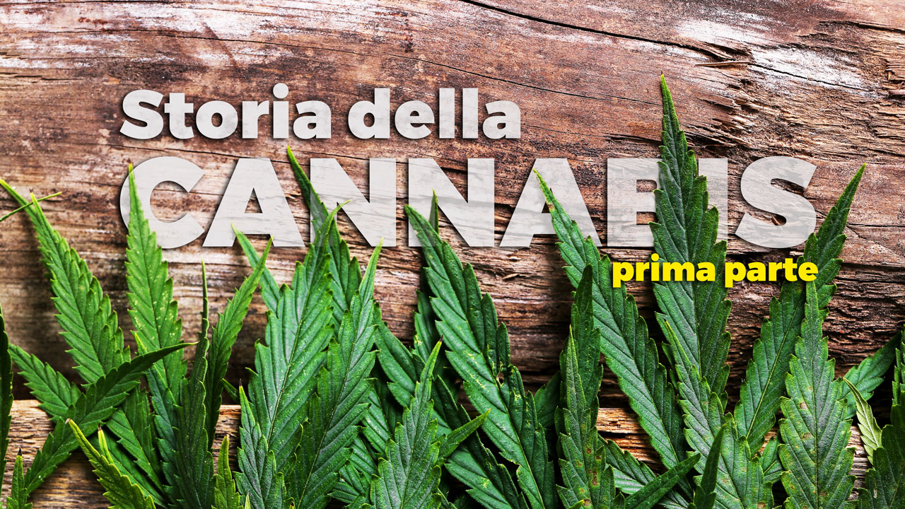 storia della cannabis prima parte