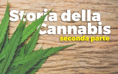 Histoire du cannabis : du monde arabe à nos jours – (Deuxième partie)