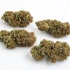 Gorilla Glue CBD - Innenbereich – Bild 4