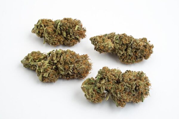 Gorilla Glue CBD - Intérieur – Image 4