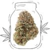 Amnesia CBD für den Innenbereich