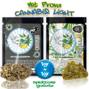 kit prova cannabis light erba legale skunk cannabis legale gorilla glue