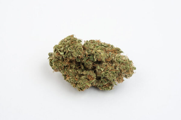 BubbleGum CBD Interior - Imagen 2