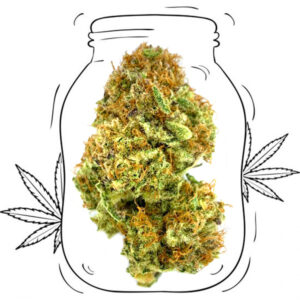 Bubblegum CBD cannabis legale erba light canapa legale