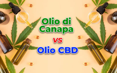 Olio di Semi di Canapa e Olio CBD: Quali Sono le Differenze