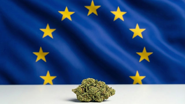 Europa e canapa. Cosa ci porterà il 2026