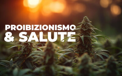Così il Proibizionismo ha Avvelenato la Canapa Light