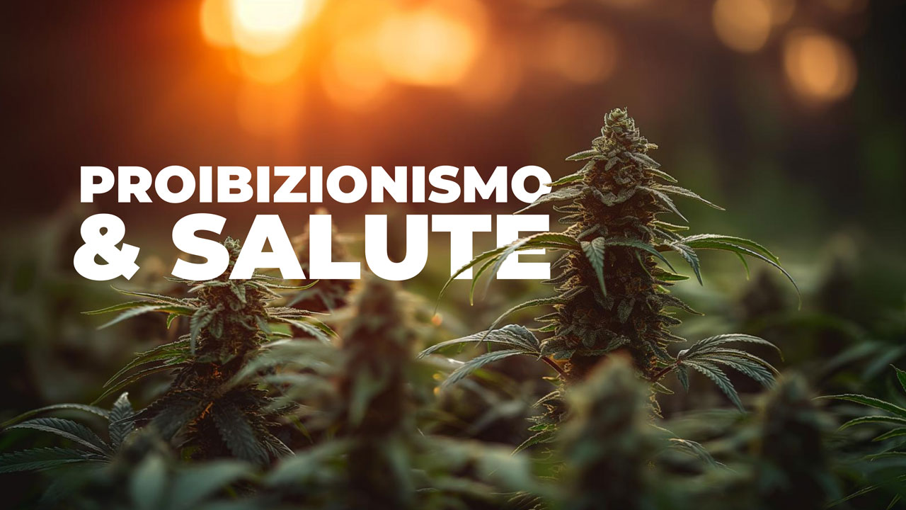 MDMB-PINACA un problema per la salute